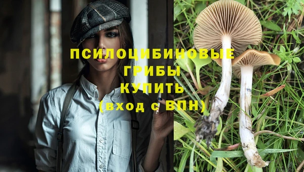 MESCALINE Медвежьегорск