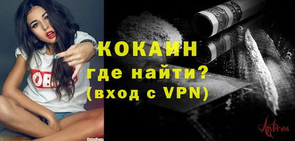 крисы Ельня