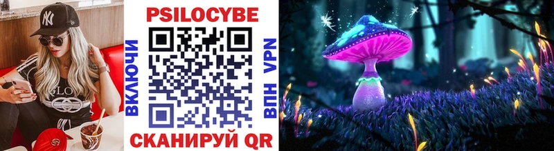 Псилоцибиновые грибы Psilocybe дарнет шоп Заозёрск