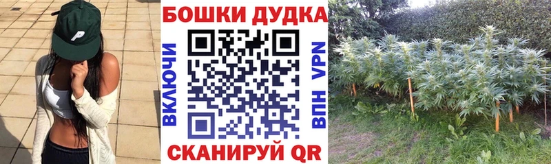 Бошки марихуана марихуана  наркота  Заозёрск 